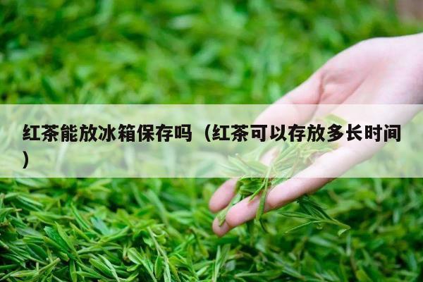 红茶能放冰箱保存吗（红茶可以存放多长时间）