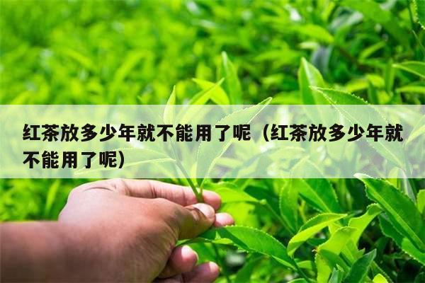 红茶放多少年就不能用了呢（红茶放多少年就不能用了呢）