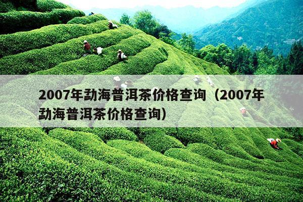 2007年勐海普洱茶价格查询（2007年勐海普洱茶价格查询）