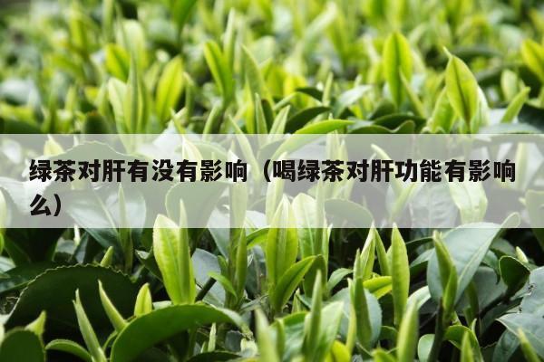 绿茶对肝有没有影响（喝绿茶对肝功能有影响么）