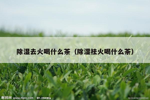 除湿去火喝什么茶（除湿祛火喝什么茶）