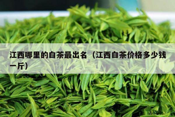 江西哪里的白茶最出名（江西白茶价格多少钱一斤）