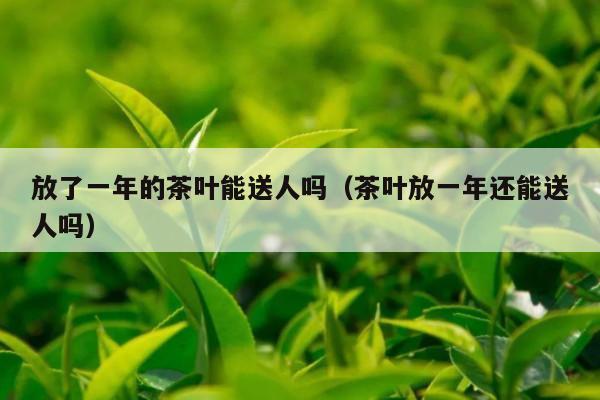 放了一年的茶叶能送人吗（茶叶放一年还能送人吗）