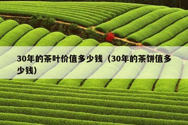 30年的茶叶价值多少钱（30年的茶饼值多少钱）