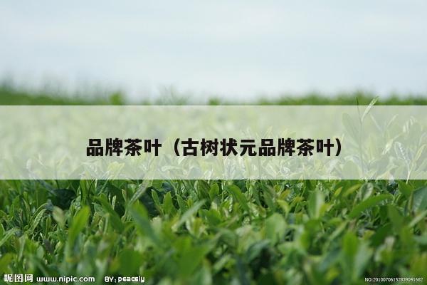 品牌茶叶（古树状元品牌茶叶）