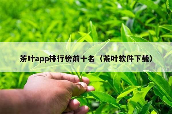 茶叶app排行榜前十名（茶叶软件下载）