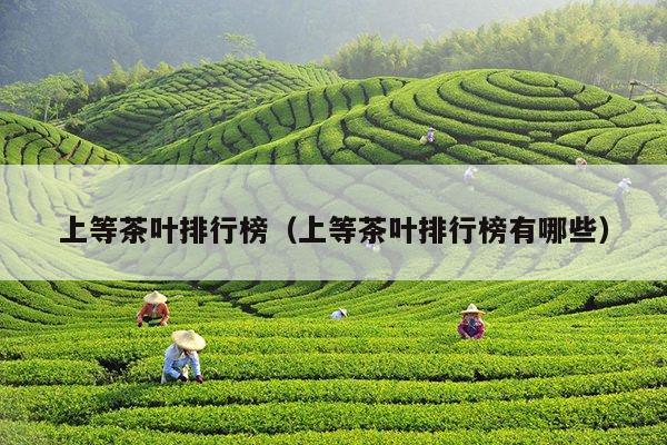 上等茶叶排行榜（上等茶叶排行榜有哪些）