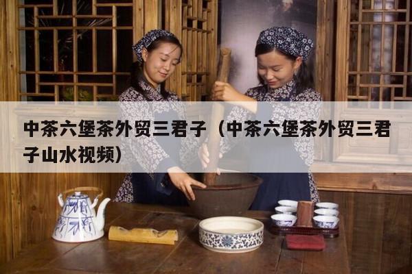 中茶六堡茶外贸三君子（中茶六堡茶外贸三君子山水视频）