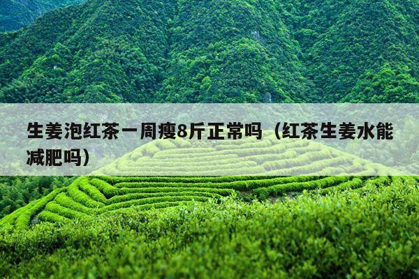 生姜泡红茶一周瘦8斤正常吗（红茶生姜水能减肥吗）