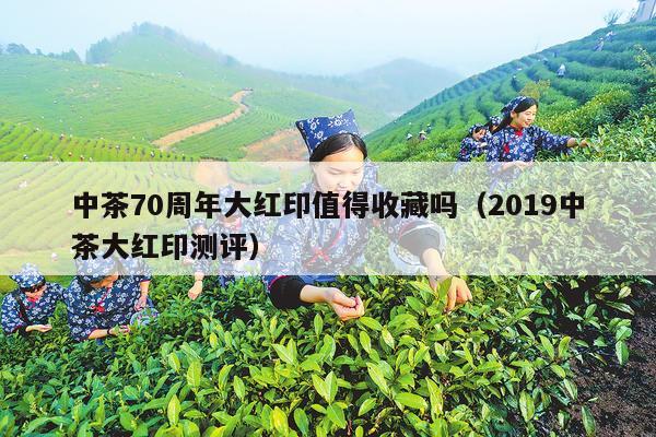 中茶70周年大红印值得收藏吗（2019中茶大红印测评）