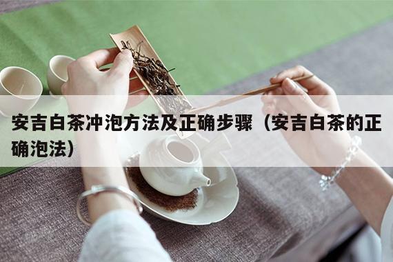 安吉白茶冲泡方法及正确步骤（安吉白茶的正确泡法）