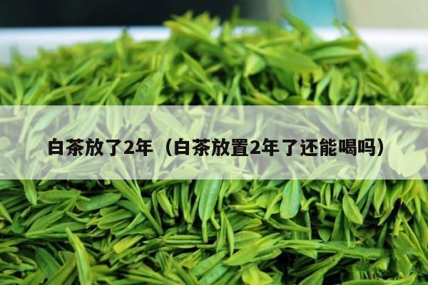 白茶放了2年（白茶放置2年了还能喝吗）