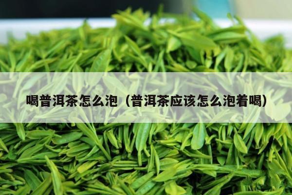 喝普洱茶怎么泡（普洱茶应该怎么泡着喝）