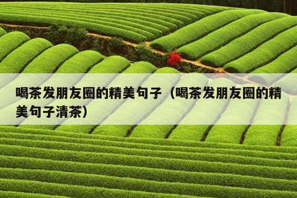 喝茶发朋友圈的精美句子（喝茶发朋友圈的精美句子清茶）