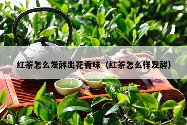 红茶怎么发酵出花香味（红茶怎么样发酵）