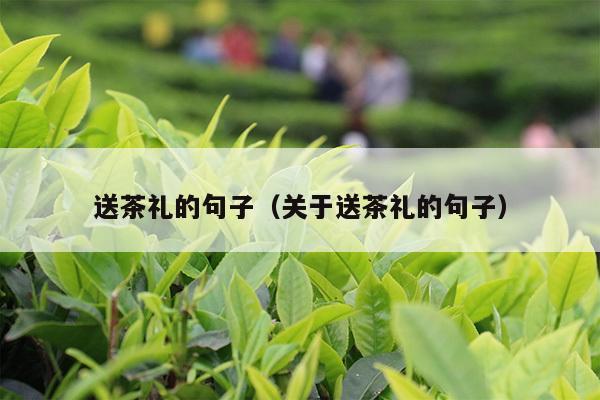 送茶礼的句子（关于送茶礼的句子）