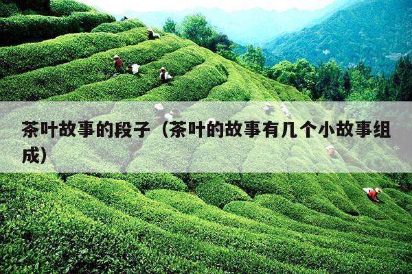 茶叶故事的段子（茶叶的故事有几个小故事组成）