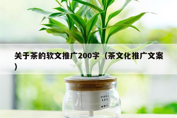 关于茶的软文推广200字（茶文化推广文案）