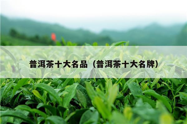 普洱茶十大名品（普洱茶十大名牌）