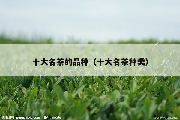 十大名茶的品种（十大名茶种类）