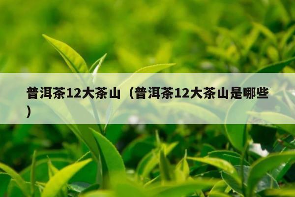 普洱茶12大茶山（普洱茶12大茶山是哪些）