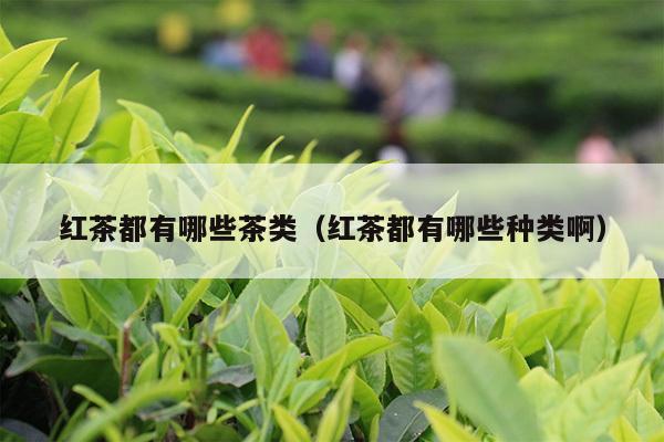 红茶都有哪些茶类（红茶都有哪些种类啊）