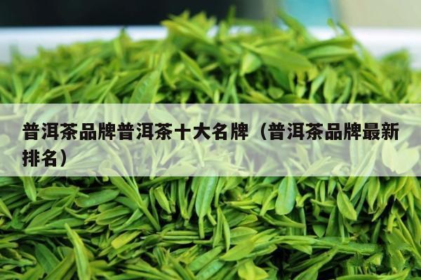 普洱茶品牌普洱茶十大名牌（普洱茶品牌最新排名）