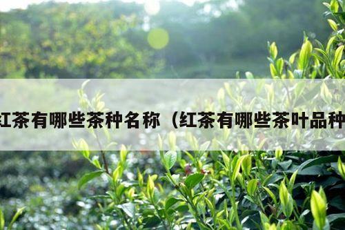 红茶有哪些茶种名称（红茶有哪些茶叶品种）