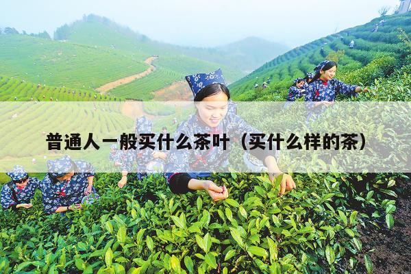 普通人一般买什么茶叶（买什么样的茶）