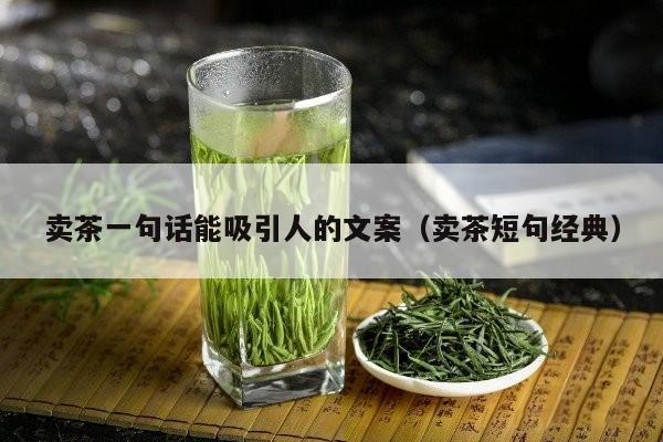 卖茶一句话能吸引人的文案（卖茶短句经典）