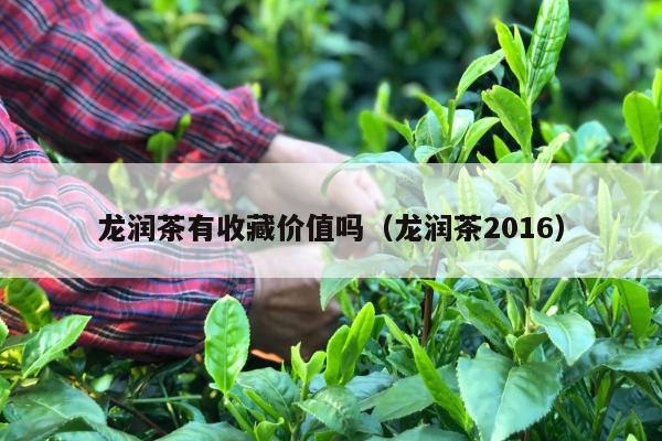 龙润茶有收藏价值吗（龙润茶2016）