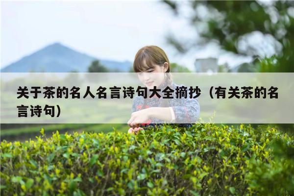 关于茶的名人名言诗句大全摘抄（有关茶的名言诗句）