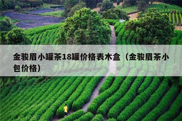 金骏眉小罐茶18罐价格表木盒（金骏眉茶小包价格）