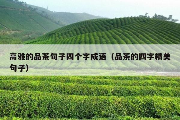 高雅的品茶句子四个字成语（品茶的四字精美句子）