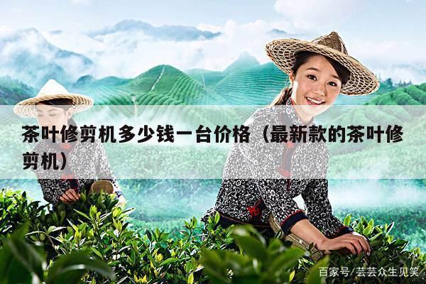 茶叶修剪机多少钱一台价格（最新款的茶叶修剪机）