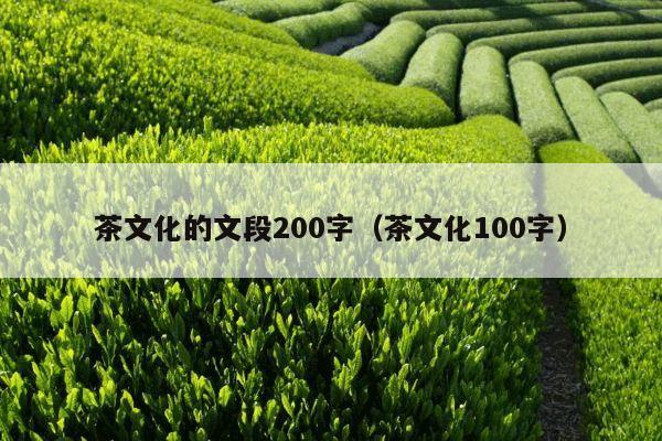 茶文化的文段200字（茶文化100字）