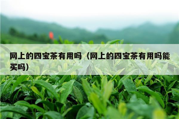 网上的四宝茶有用吗（网上的四宝茶有用吗能买吗）