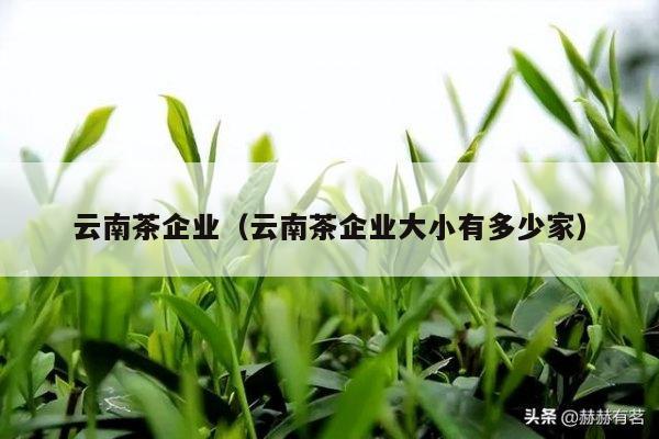 云南茶企业（云南茶企业大小有多少家）