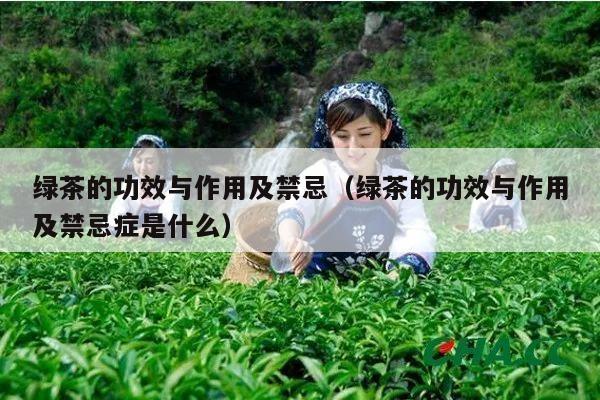 绿茶的功效与作用及禁忌（绿茶的功效与作用及禁忌症是什么）