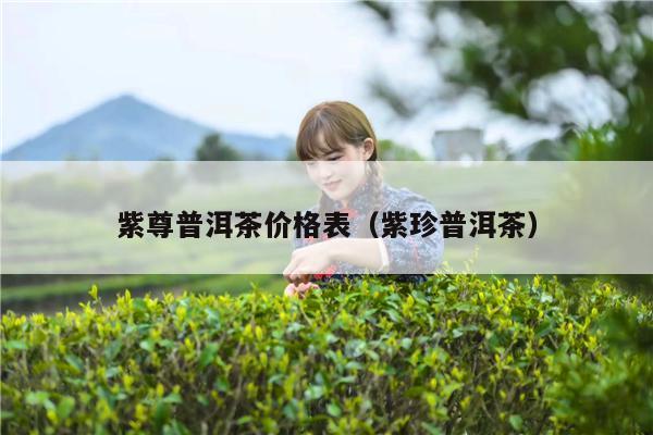 紫尊普洱茶价格表（紫珍普洱茶）