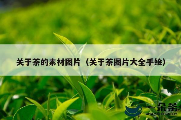 关于茶的素材图片（关于茶图片大全手绘）