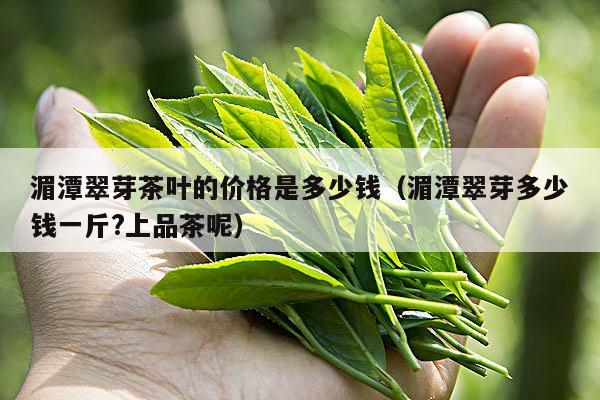 湄潭翠芽茶叶的价格是多少钱（湄潭翠芽多少钱一斤?上品茶呢）