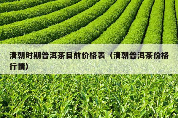 清朝时期普洱茶目前价格表（清朝普洱茶价格行情）