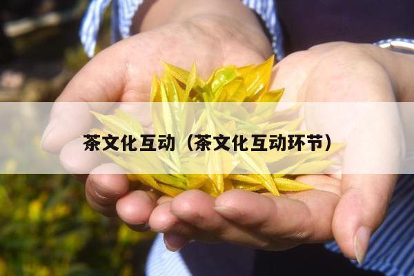 茶文化互动（茶文化互动环节）