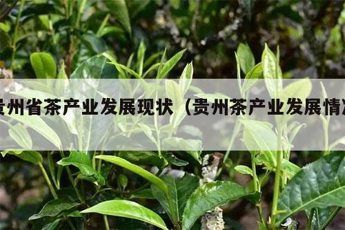 贵州省茶产业发展现状（贵州茶产业发展情况）