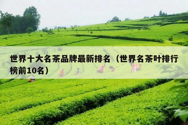 世界十大名茶品牌最新排名（世界名茶叶排行榜前10名）