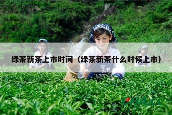 绿茶新茶上市时间（绿茶新茶什么时候上市）