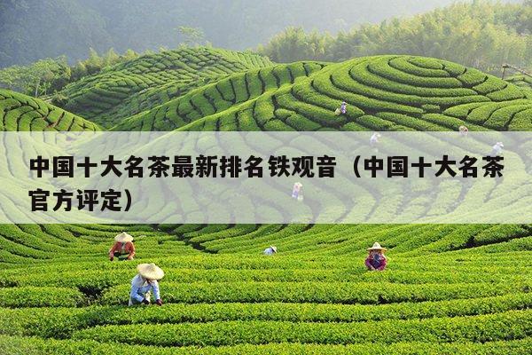 中国十大名茶最新排名铁观音（中国十大名茶官方评定）