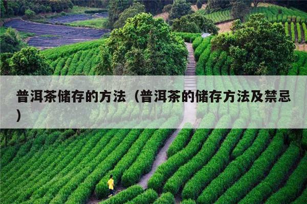 普洱茶储存的方法（普洱茶的储存方法及禁忌）