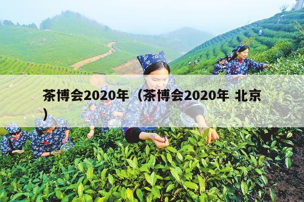 茶博会2020年（茶博会2020年 北京）